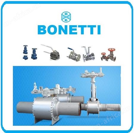 意大利BONETTI   LG-07-94-02高压阀液位计
