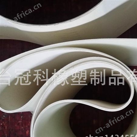冠科GK-100食品输送带,轻型输送带,平面输送