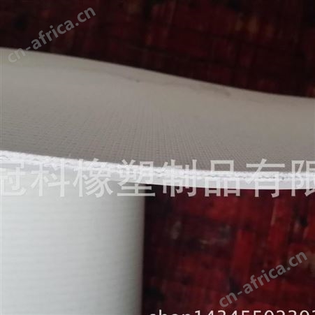 冠科GK-100食品输送带,裙边输送带,pvc食