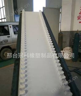冠科GK-100轻型输送带,出产食品输送带,pv