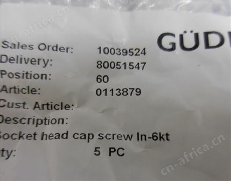 GUDEL 螺钉113879