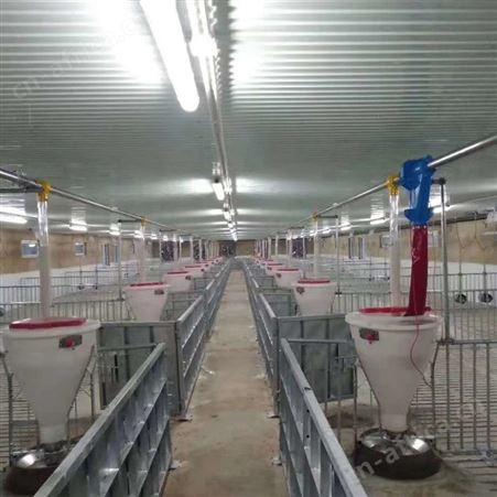 养殖场自动料线 成套养猪设备 喂料设备自动料线 华清料塔
