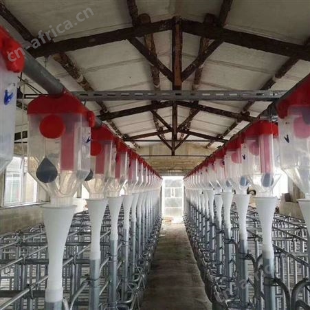 不锈钢双面料槽仔猪补料槽小猪食槽猪用补料槽喂猪食槽钢板槽保育