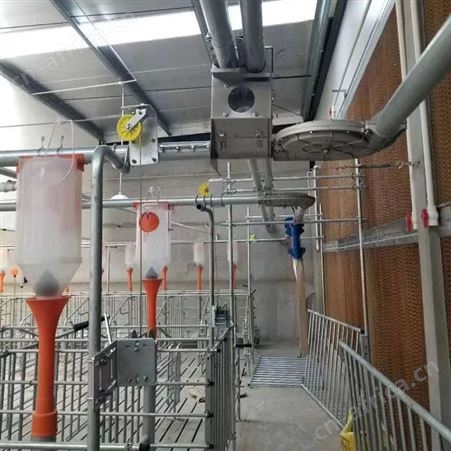 养殖场自动料线 成套养猪设备 喂料设备自动料线 华清料塔