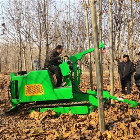 圆弧式带土球挖树机 高速公路绿化树苗移栽机 多地形苗木保值神器