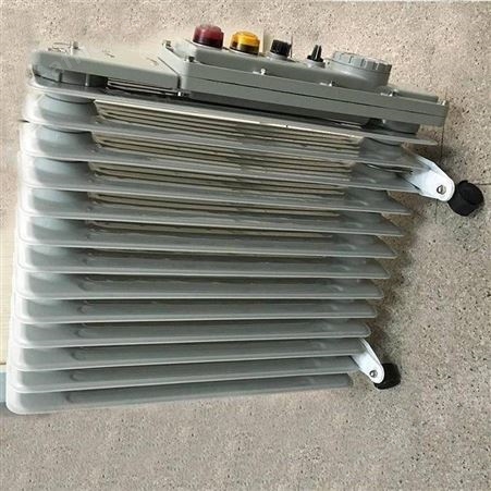 防爆型电取暖器RB-2000/127(A) 127V矿用防爆电暖气