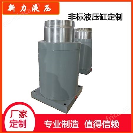 新力液压 非标液压缸 可定制