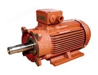 高效、超高效真空泵专用电机