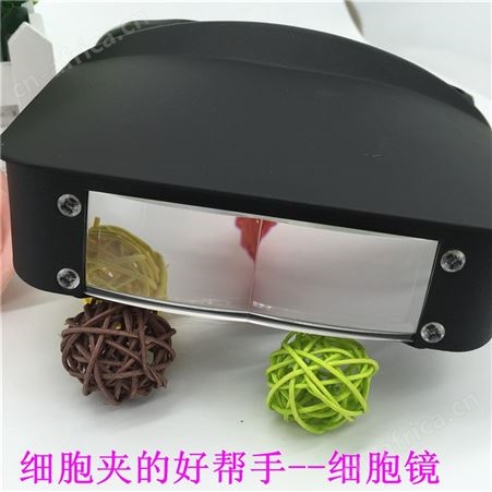 PEAK东海必佳2035-I头戴式高清放大镜2 2X护眼美容细胞镜