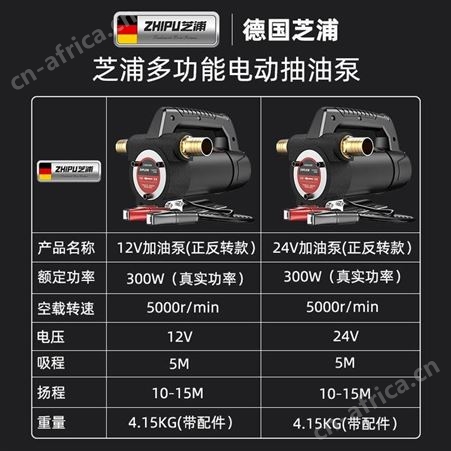芝浦电动抽油泵12V24V正反转小型自吸泵柴油泵加油机设备神器