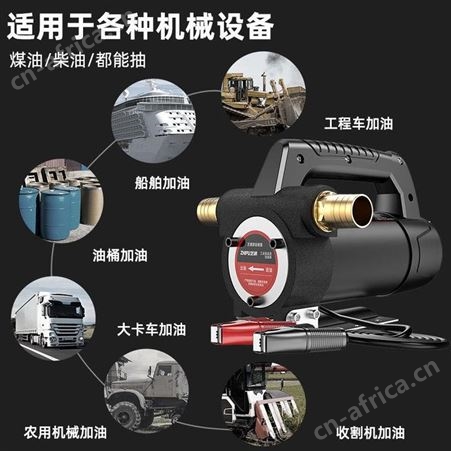 芝浦电动抽油泵12V24V正反转小型自吸泵柴油泵加油机设备神器