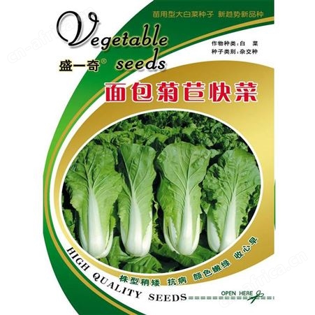 不锈钢白色烤漆花盆 组合式花箱 户外园林观景装饰 方形花盆花钵