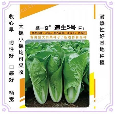 不锈钢白色烤漆花盆 组合式花箱 户外园林观景装饰 方形花盆花钵