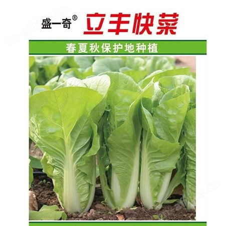 不锈钢白色烤漆花盆 组合式花箱 户外园林观景装饰 方形花盆花钵