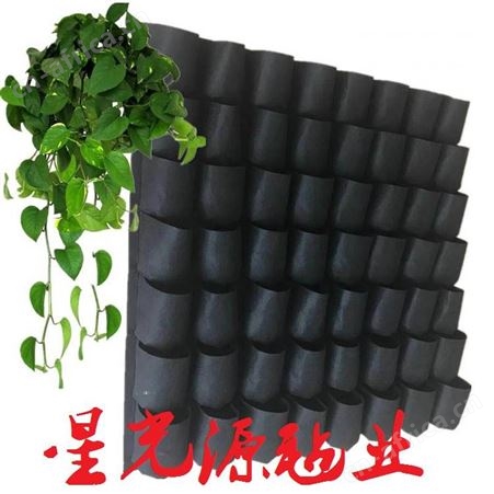 黑色加厚美植袋毛毡， 工程绿化毛毡植物墙