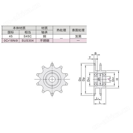倍速链惰轮  从动轮 工业传动双排齿轮链轮 非标链轮 双排输送机链轮