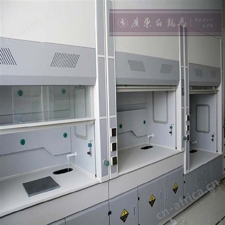 白龙马实验室、定制 全钢通风柜 pp材质 源头工厂