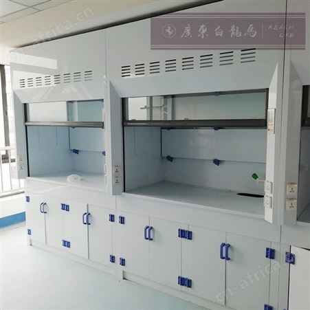 白龙马实验室、定制 全钢通风柜 pp材质 源头工厂