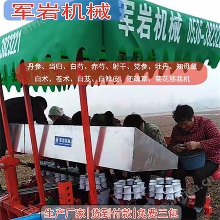 楸树苗移栽机|冬青移栽机|绿化树苗移栽机 岩机械-国内秧苗移栽机标准生产厂家