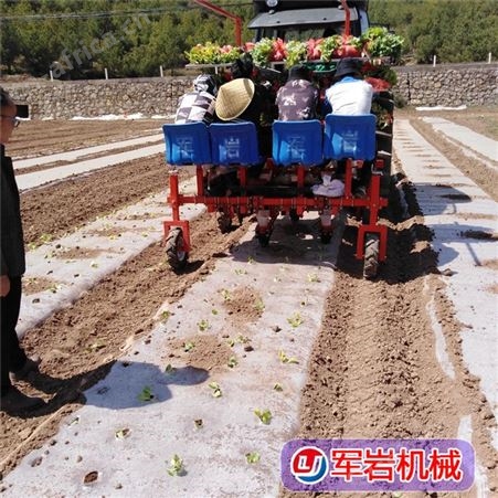 辣椒移栽机 白菜移栽机 甘蓝移栽机 各种蔬菜移栽机 青州市岩机械荣誉出品