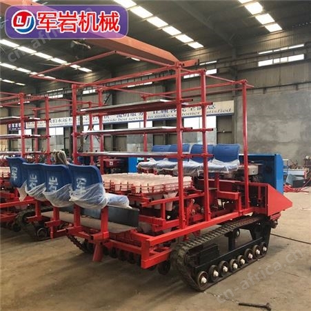 叶菜移栽机价格 番茄种植机 梅干菜栽苗机 履带移栽机报价