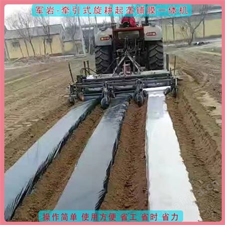 双行旋耕 起垄 施肥 铺滴灌 铺膜一体机 功能可定制 联合整地机