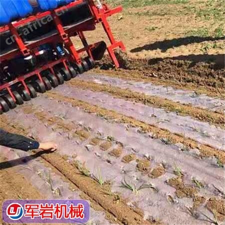 洋葱移栽机 军岩 中国台湾洋葱移栽机报价 圆葱插秧机供应 欢迎致电