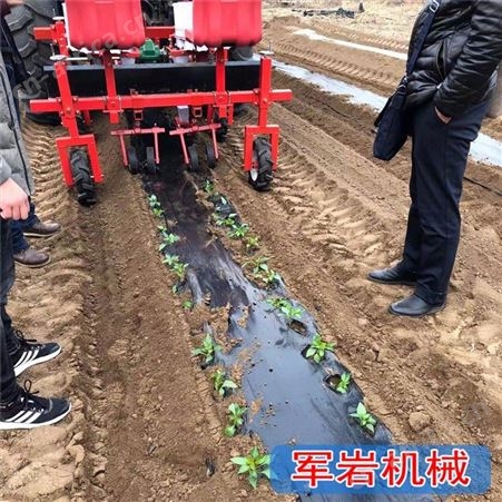 菜花移栽机 西蓝花移栽机 青州实力移栽机厂家