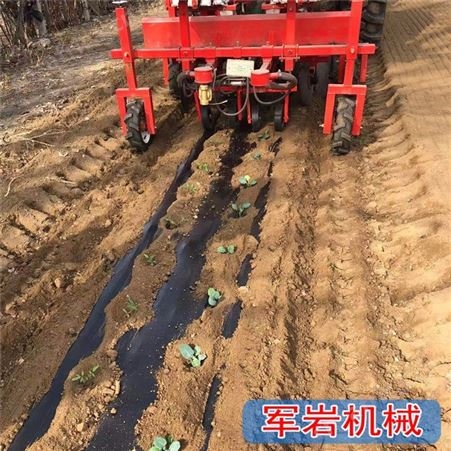 菜花移栽机 西蓝花移栽机 青州实力移栽机厂家