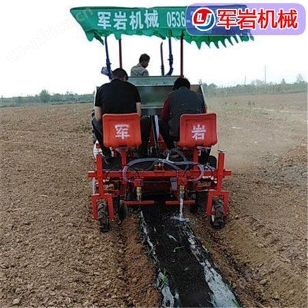 西兰花移栽机 岩 白菜移栽机 全自动移栽机厂家批发零售
