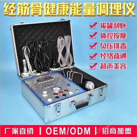 多功能通络养生仪 养生器经络疏通仪厂家