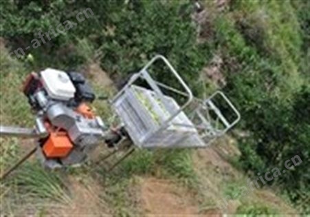 汇鑫单轨运输车 果园自走式轨道运输车 爬坡自走式汽油机轨道运输车