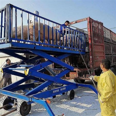 液压卸猪台 养殖场装猪升降机 上猪出猪 专业养殖设备厂家