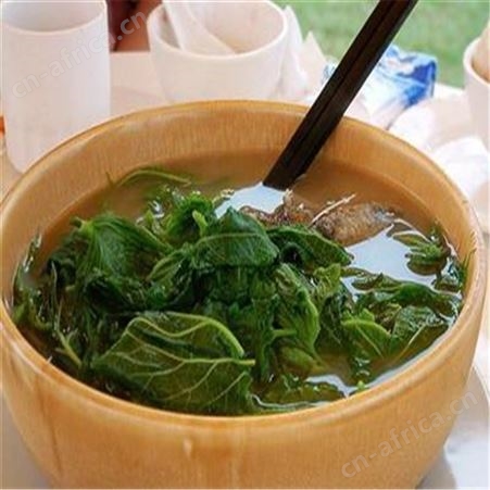 高蛋白桑叶茶全国采购配送