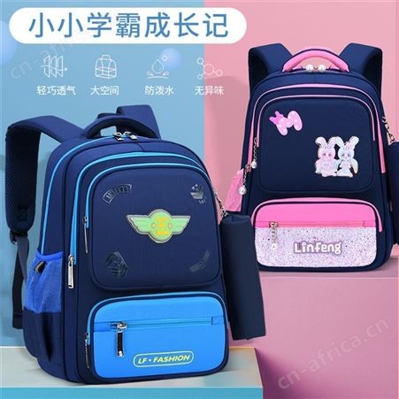 北京爱尚包定制 专业生产书包厂家 免费定制印logo 酷迪尼龙小学4-6年级小学生儿童大容量双肩背包