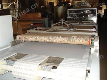 隧道式纸板烘干机—微波纸板烘干机