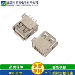 USB 2.0-USB2021