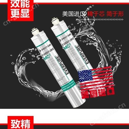 滨特尔pentair爱惠浦4FCS净水机器4FC-S大流量双联直饮机过滤器