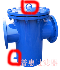 篮式过滤器直径DN250图片