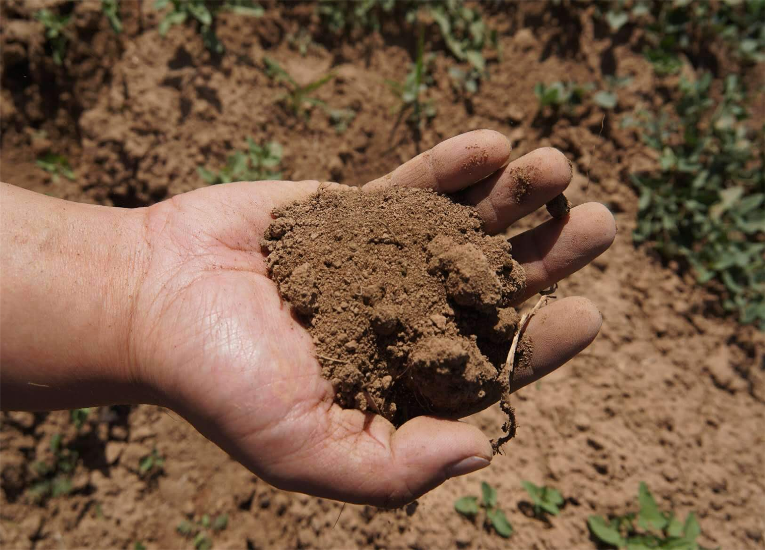 土壤养分快速检测仪