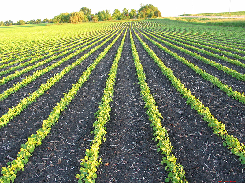 土壤养分检测仪
