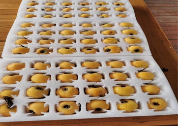 昆山珍珠棉