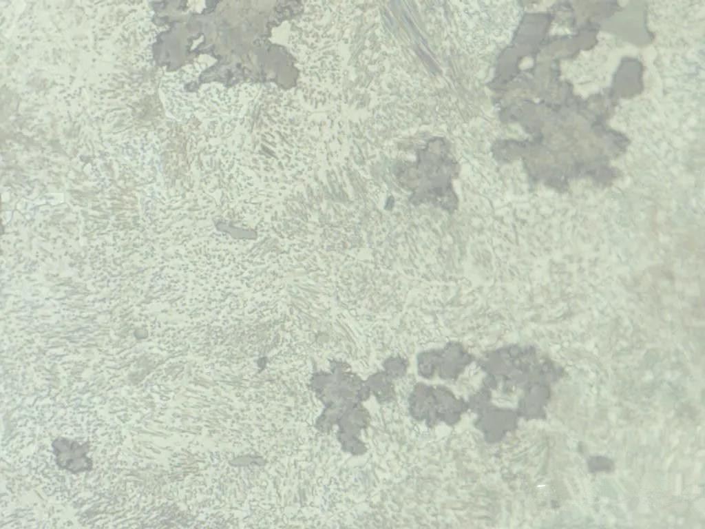 1587627269637913.jpg 15.jpg