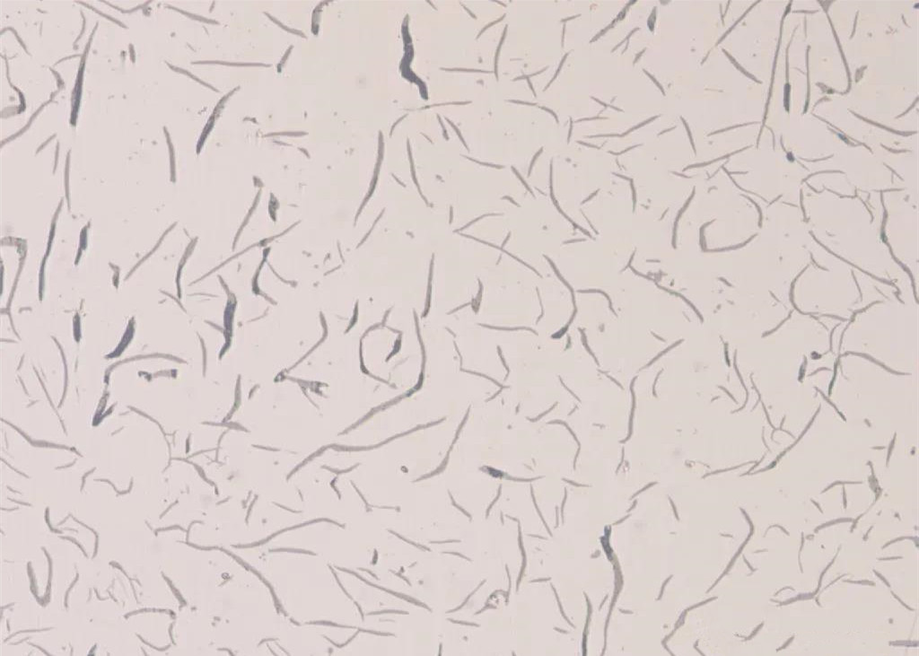 1587627303133069.jpg 16.jpg