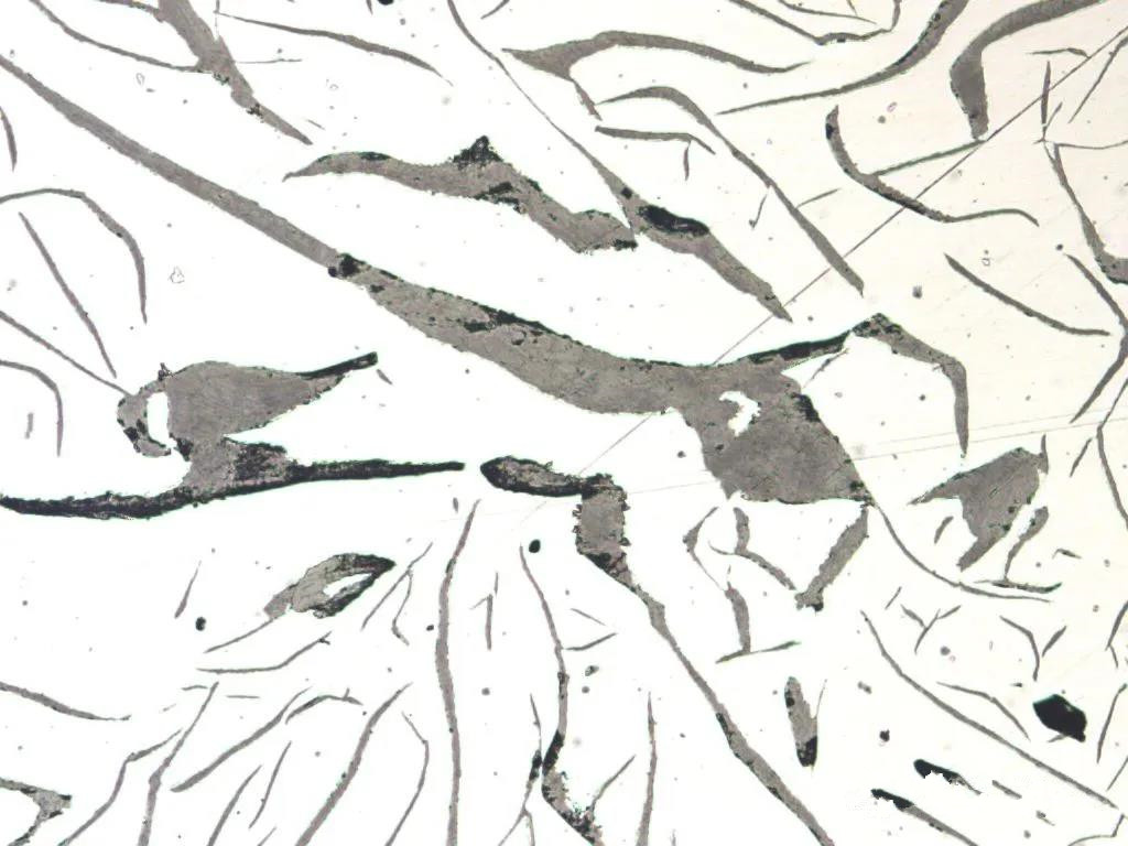 1587627334577491.jpg 17.jpg