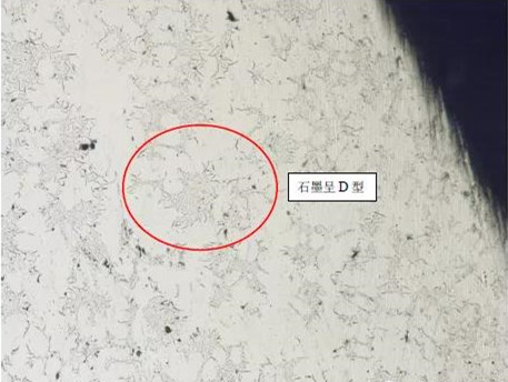 1587627393774740.jpg 19.jpg