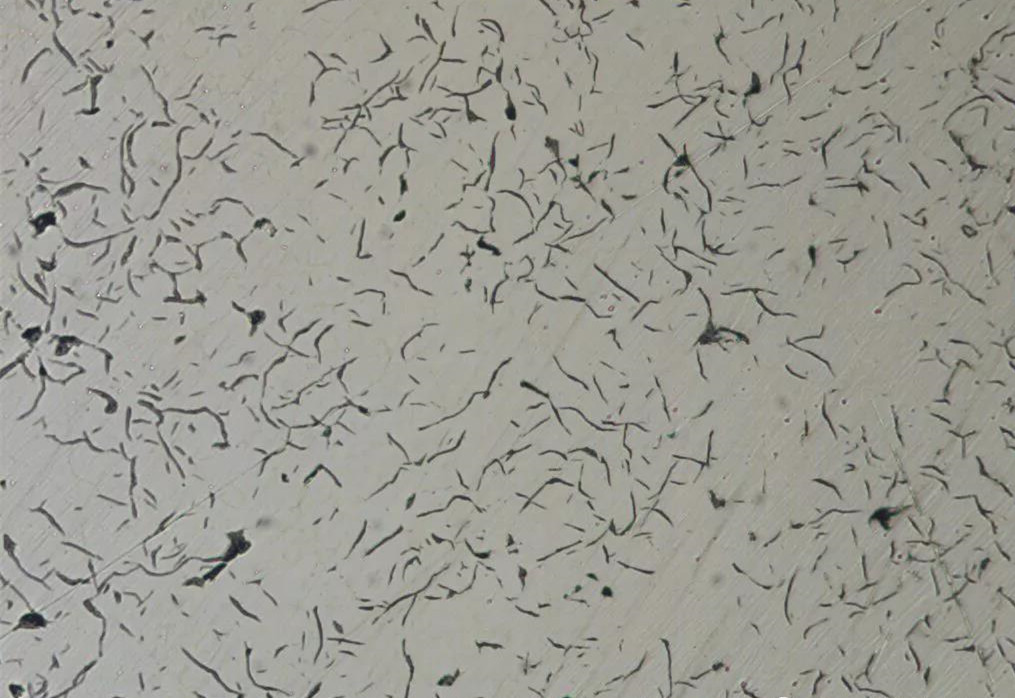 1587627411856304.jpg 20.jpg