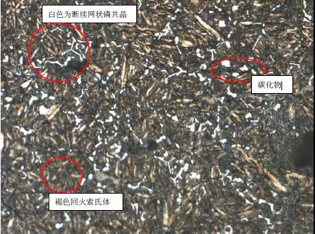 1587627482234078.jpg 23.jpg