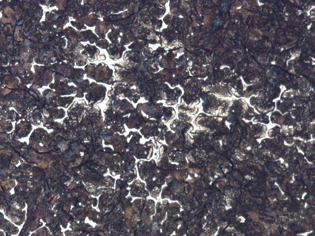 1587627502433181.jpg 24.jpg