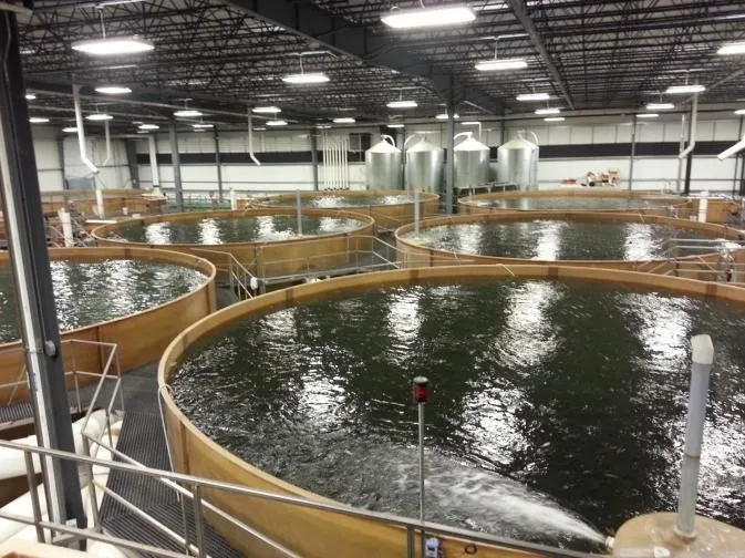 CO2传感器在水产养殖行业的广泛应用(图9)